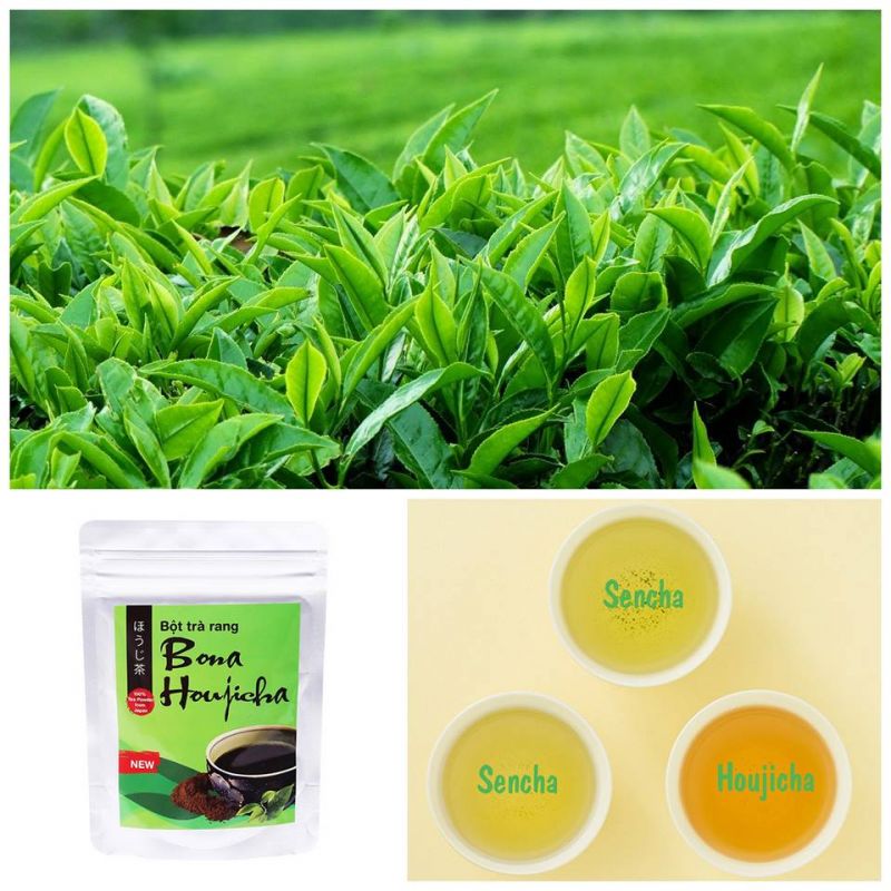 tra bona houjicha.jpg